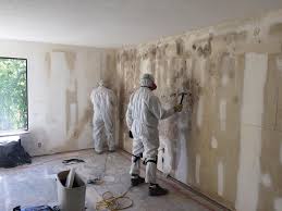 Best Crawl Space Mold Remediation  in USA